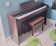 Casio Privia PX-870 Digital Piano