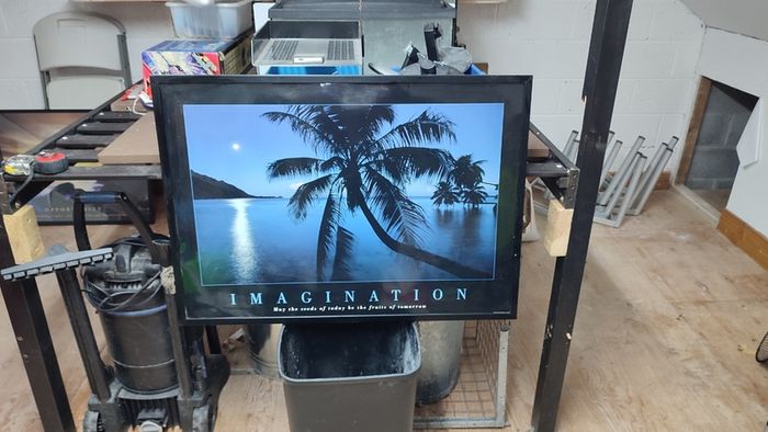 Imagination Poster Framed May the seeds of today be the fruits of tomorrow