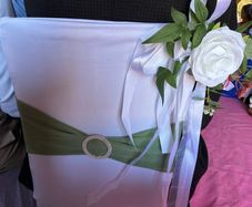113 White Chair Covers 48 sage sashes