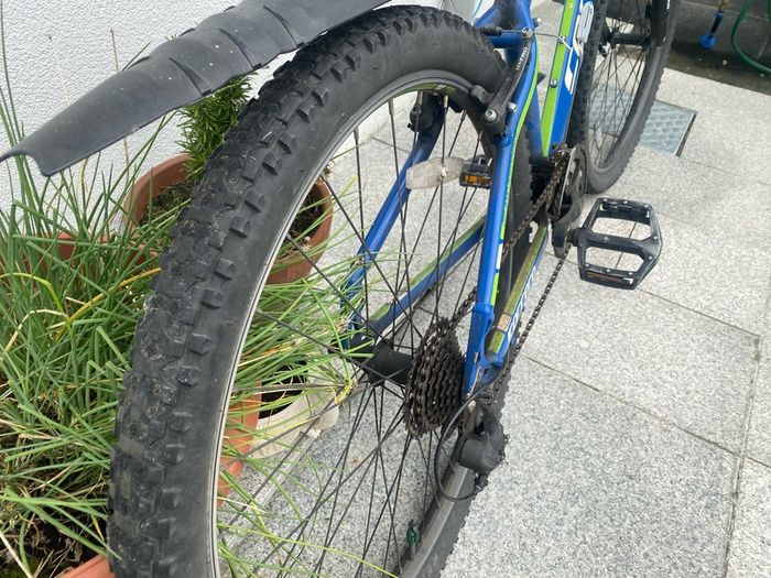Carrera Mountain Bike