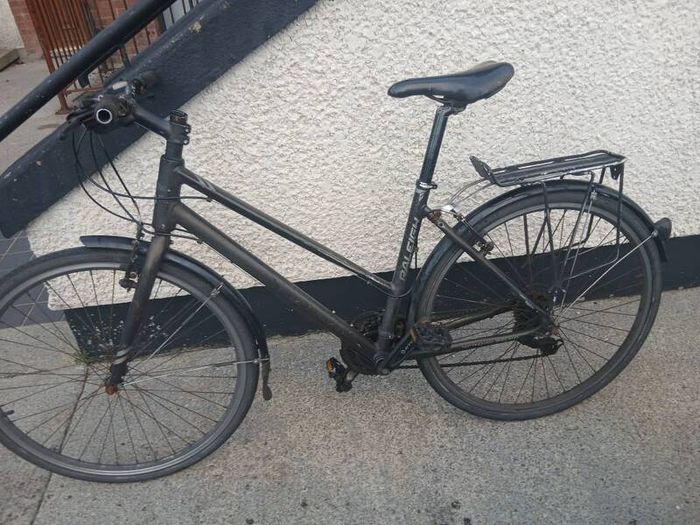 Adults Bike