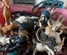 schleich bundle