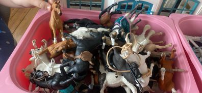 schleich bundle