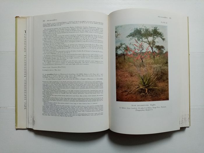 The Aloes of Tropical Africa and Madagascar (1966)  - Plant Book - Botany Book - Nature Book