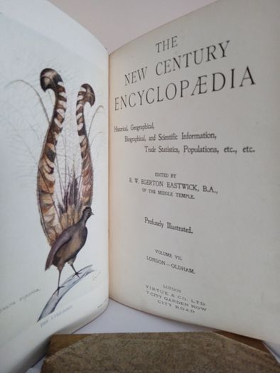 The New Century Encyclopaedia: Historical, Geographical, Biographical, and Scientific Information, Trade Statistics, Populations etc., Edited by R. W. Egerton Eastwick (Vols 6,7,8,9 &10) (PT261)