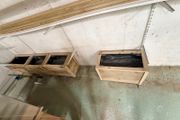 flower boxes