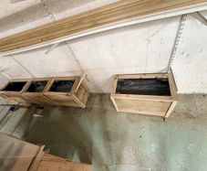 flower boxes