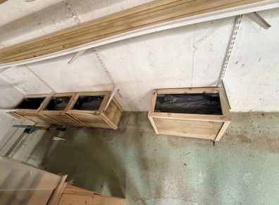 flower boxes