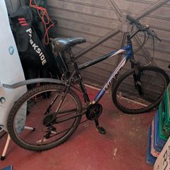 Giant Men's Bike