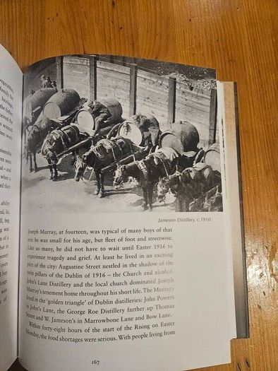Children Of The Rising. The Untold Story Of The Young Lives Lost During Easter Rising  1916. By Joe Duffy. First Edition Large Volume Hardback With Dustjacket In Good Condition.  See Photos For Same.