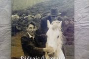 Book: Exile by Padraic O'Conaire (postage included)