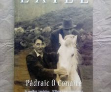Book: Exile by Padraic O'Conaire (postage included)