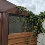 Shed,metal Image 8