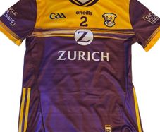 wexford gaa