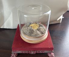 Bitcoin Memorbilia