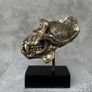 Gorilla Skull - Polished Bronze (Signed) Image 7
