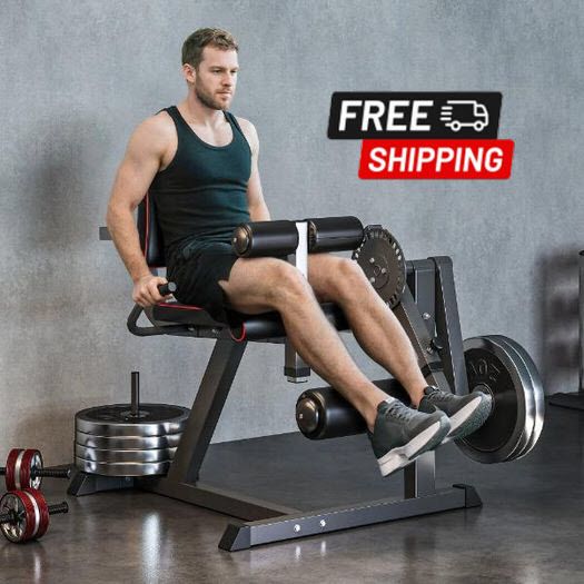Seated Leg Extension and Curl Machine