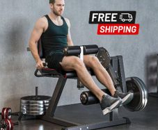 Seated Leg Extension and Curl Machine
