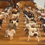 Schleich Horse Bundle Image 8