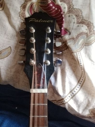 Palmer mandolin P3W  late 70s r early 80s and gigbag