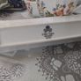Aynsley"Wild Tudor" Collection Image 4
