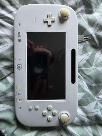 Nintendo Wii U