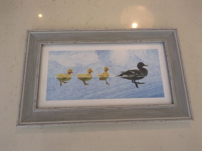Mallard ducks by timeless design