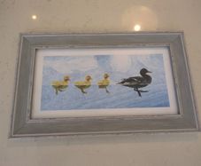 Mallard ducks by timeless design