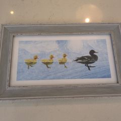 Mallard ducks by timeless design