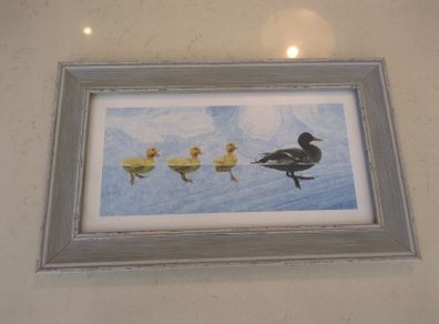 Mallard ducks by timeless design