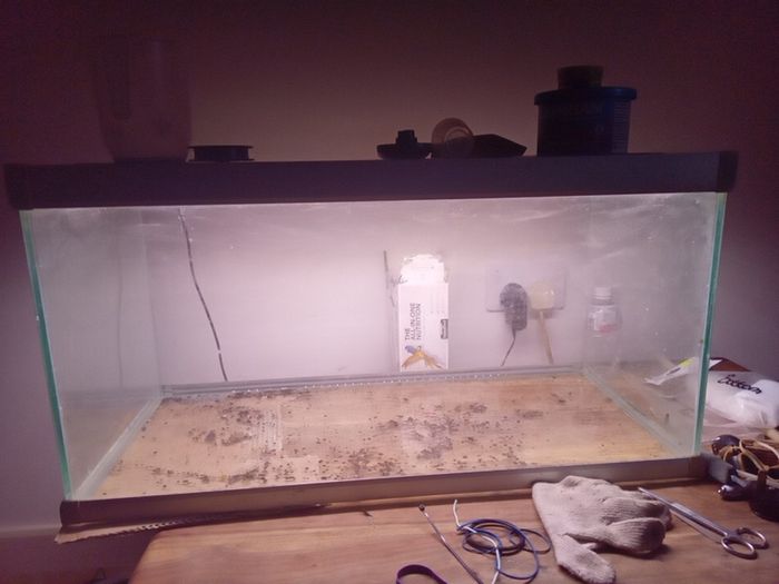 fish tank