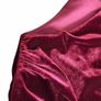 red velvet dress Image 3
