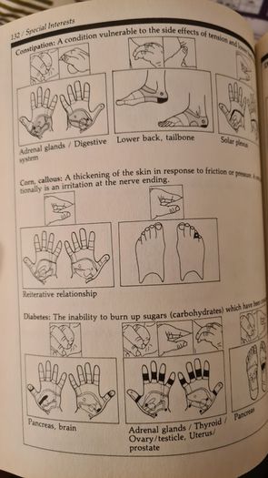 Hand And Food Reflexology. By Kevin And Barbra Kunz. The Unique Self-health Approach To Wellness. Large Volume Paperback In Good Condition.