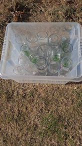 Bundle of 16 Assorted Branded Beer, Lager & Pint Glasses