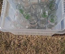 Bundle of 16 Assorted Branded Beer, Lager & Pint Glasses