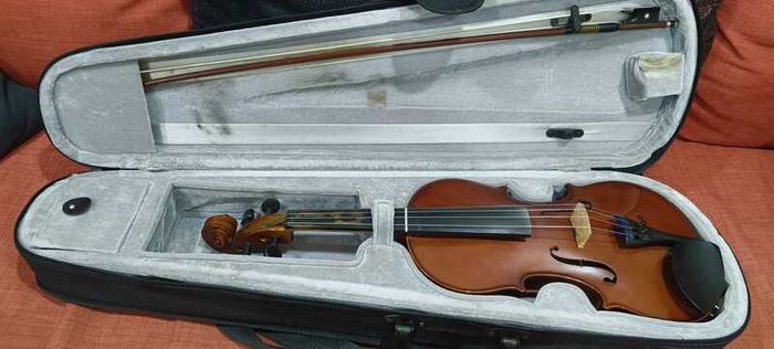 Beginner Violin