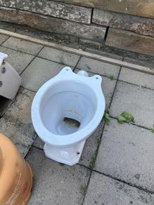vintage toilet 1930's house