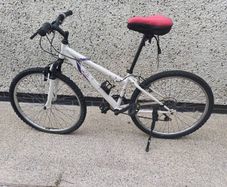 Standard road bike