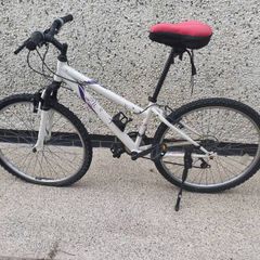 Standard road bike