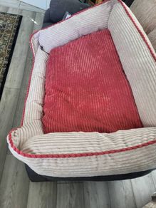 large dogs bed