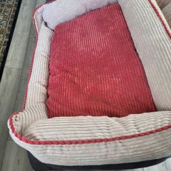 large dogs bed