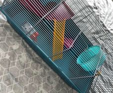 hamster cage