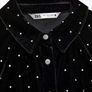 Zara Shimmery Velvet Dress Image 6