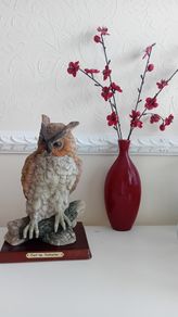 Valentino  Hand Painted Owl