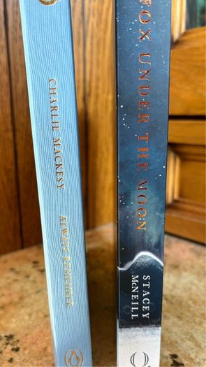 BRWND NEW - Childrens hardback books (2)