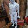Anatomical Male Mannequin Image 2