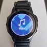 Garmin Fenix 5s plus sapphire Image 2