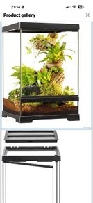 glass terrarium