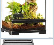 glass terrarium