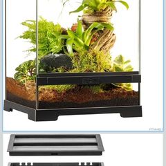 glass terrarium